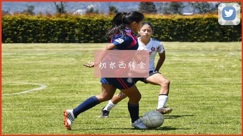 切尔西转会