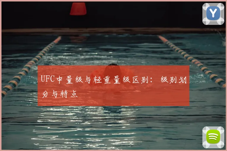 UFC中量级与轻重量级区别:级别划分与特点