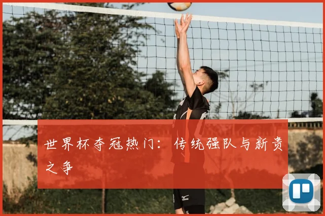 世界杯夺冠热门：传统强队与新贵之争