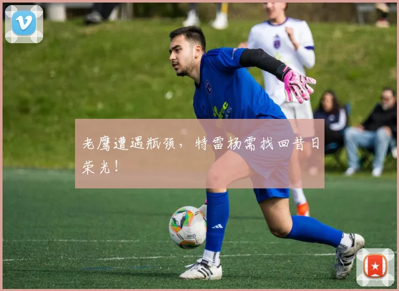 老鹰遭遇瓶颈，特雷杨需找回昔日荣光！